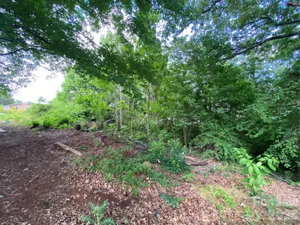 a big yard with lots of green space and deers