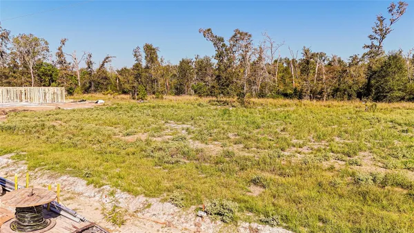 a view of a yard with trees