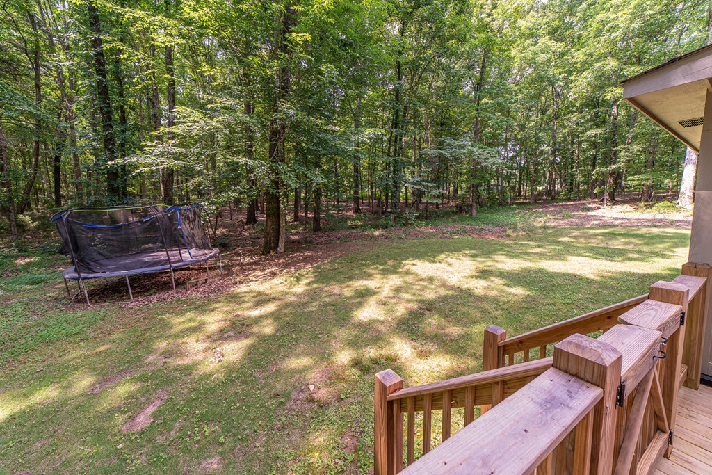 6183 Lower Blue Springs Road Hamilton, GA 31811 - Photo 36 of 39 Gallery Image 36