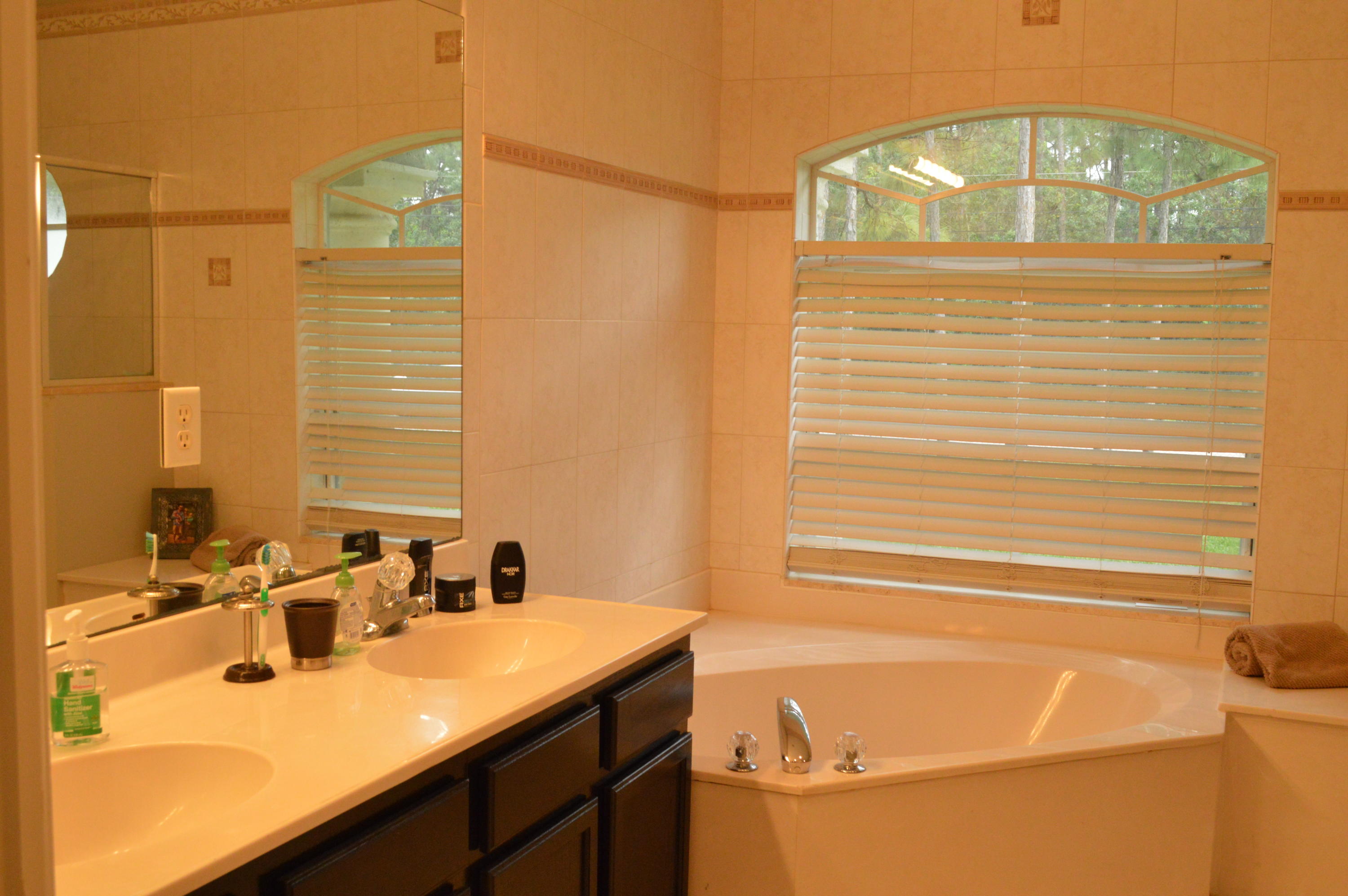 16665 93rd Road North Loxahatchee, FL 33470 - Photo 20 of 80 DSC_0633