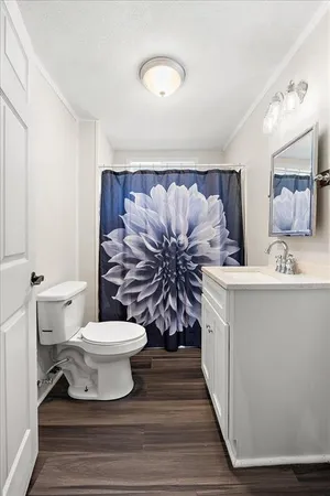a bathroom with a toilet sink and mirror