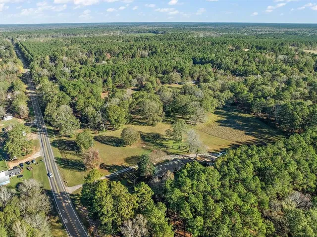 a view of a forest with an outdoor space
