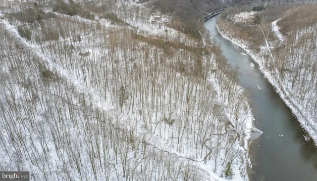 a view of yard with trees in background