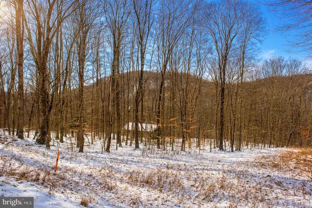 a view of a backyard of the house