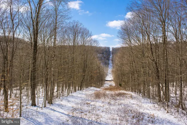a view of a backyard of the house
