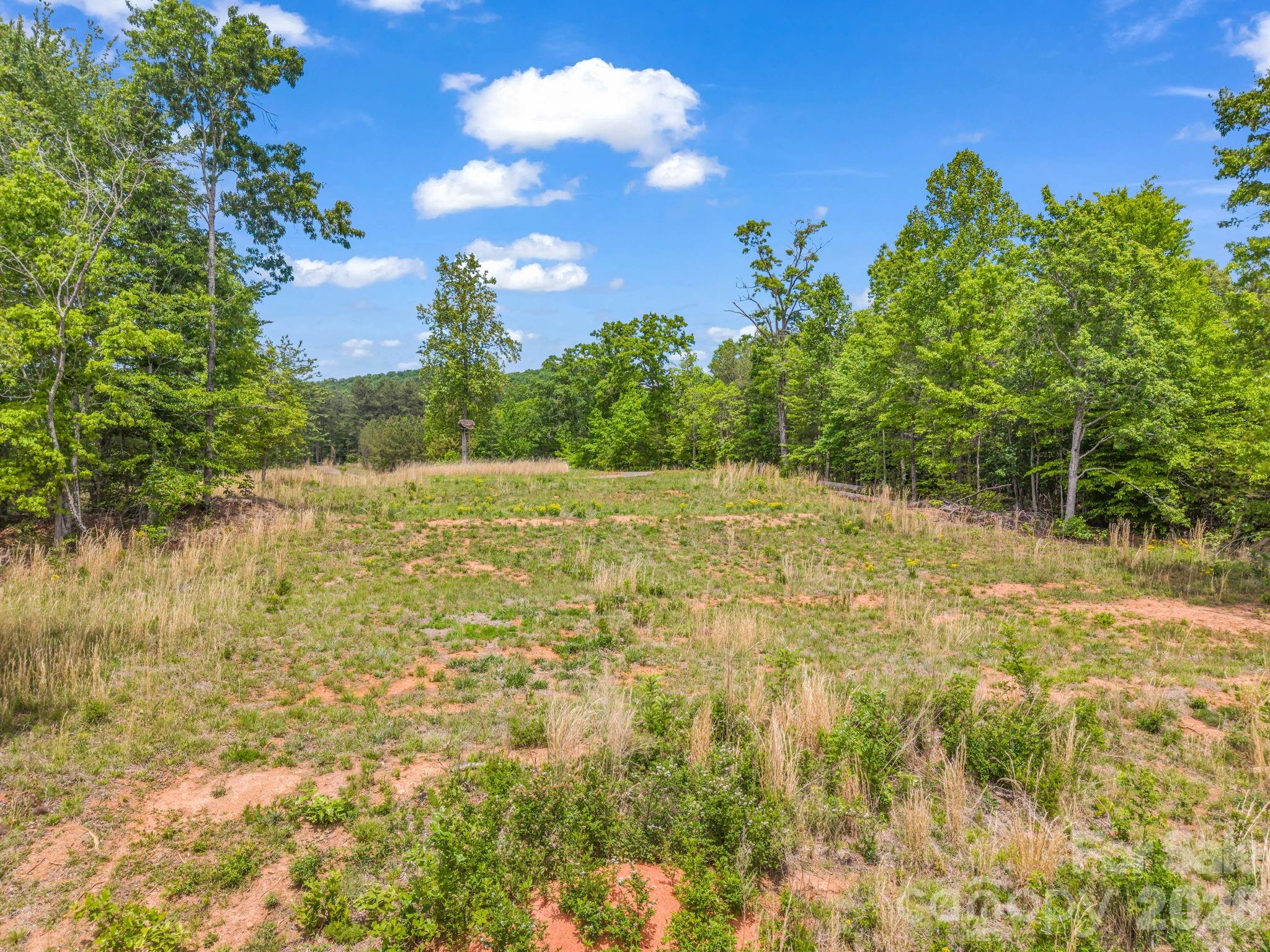 0 Romey Campbell Road Ellenboro, NC 28040 - Photo 22 of 41