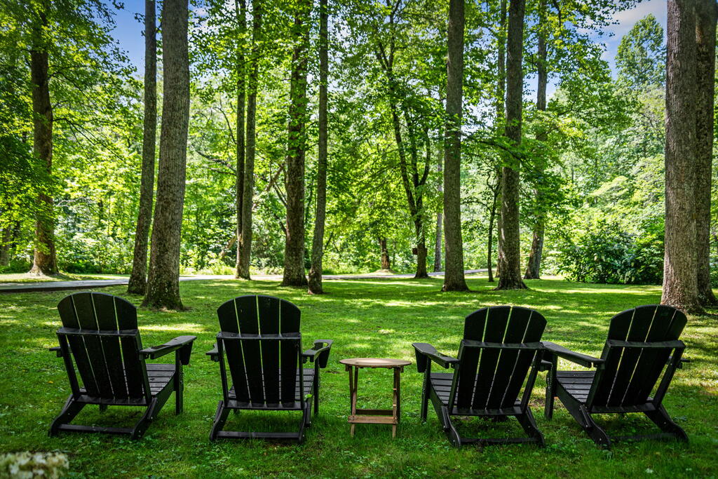 2977 Highway 2 Blue Ridge, GA 30513 - Photo 45 of 87 Gallery Image 45