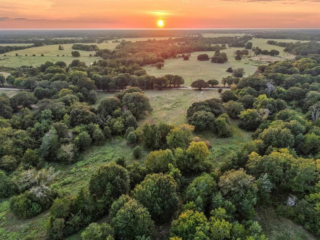 0 County Road 2615 Telephone, TX 75488 - Photo 23 of 23 an aerial view of mountains and trees