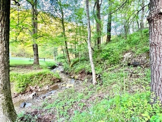 3407 McComas Branch Road Ona, WV 25545 - Photo 14 of 30 Gallery Image 14