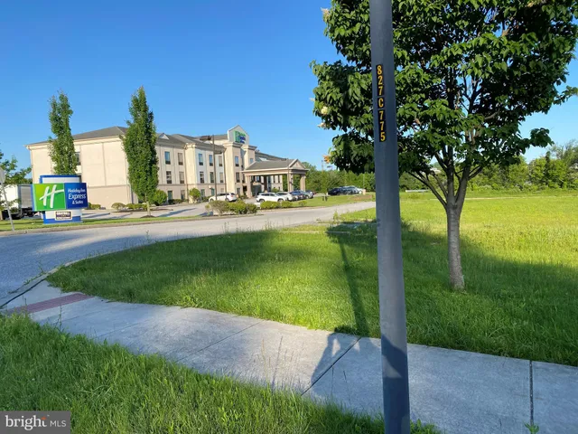 a view of a park with large trees