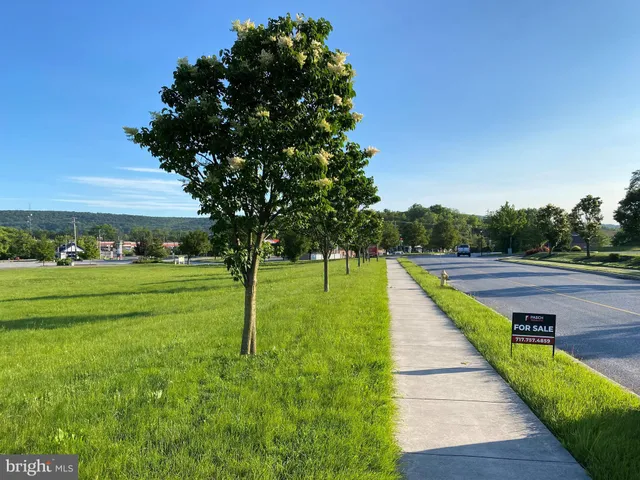 a view of an ocean from a yard