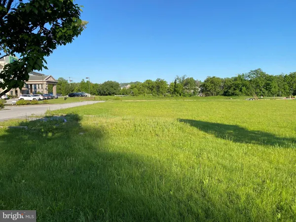 a view of a field with an ocean