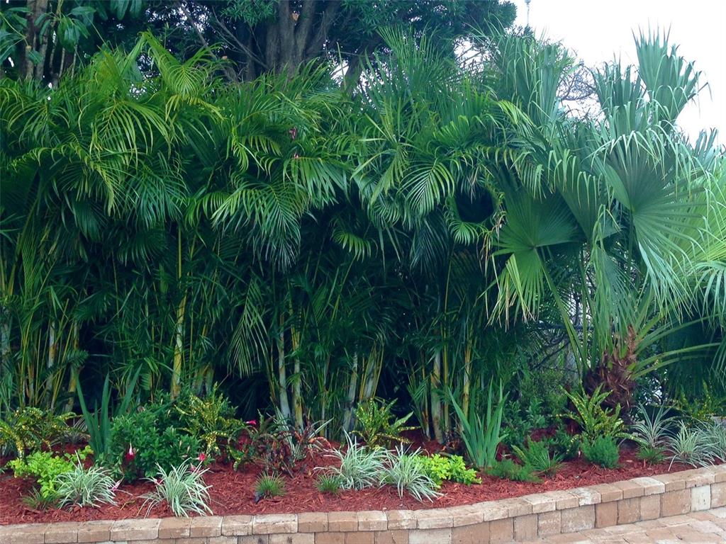 712 Sunset Cove Madeira Beach, FL 33708 - Photo 70 of 93 Gallery Image 70