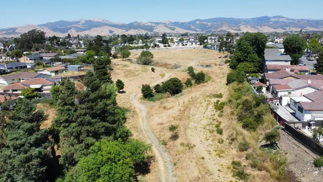 a view of a city with a lake