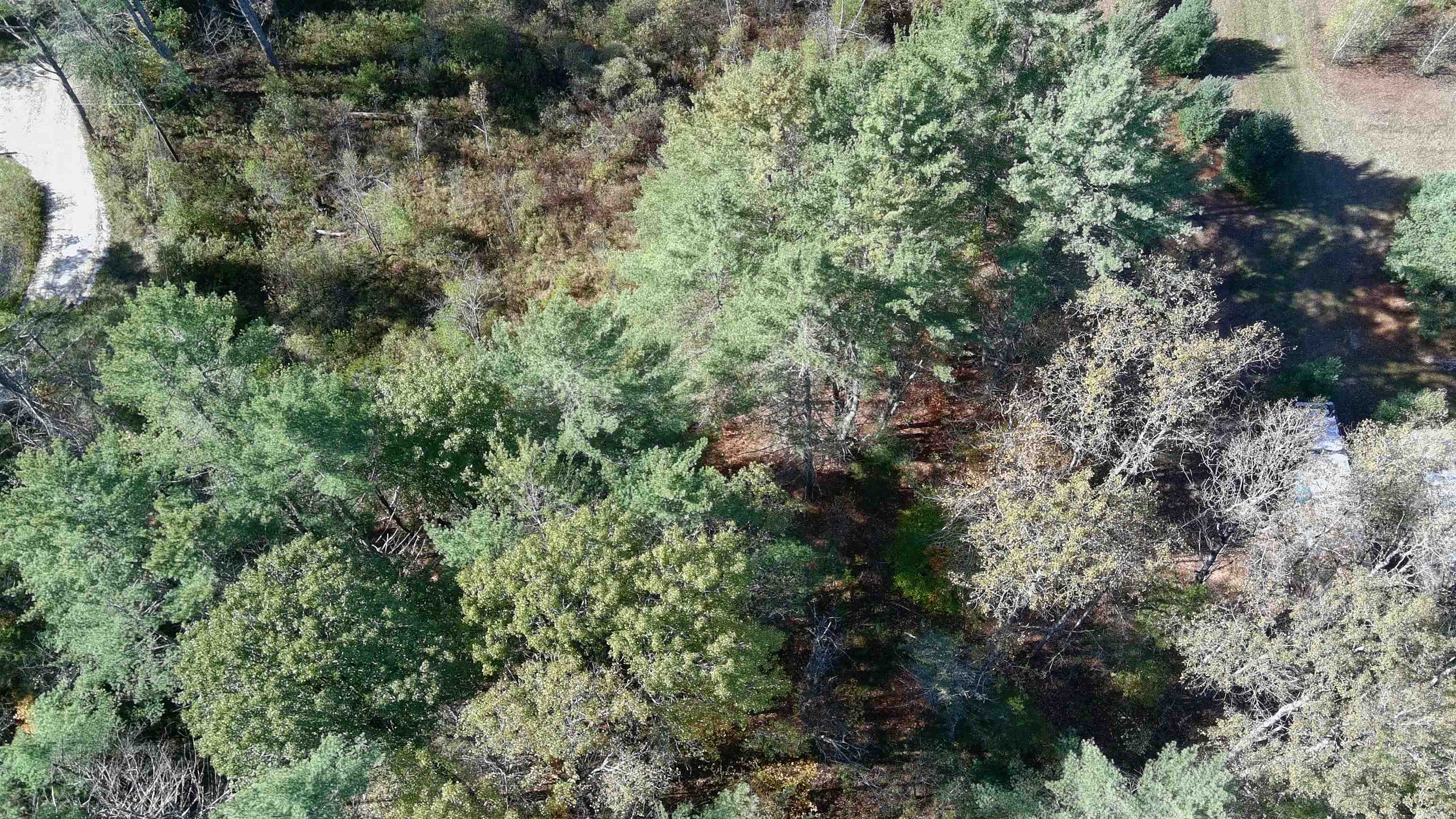 634 Lincoln Road Ripton, VT 05766 - Photo 17 of 20