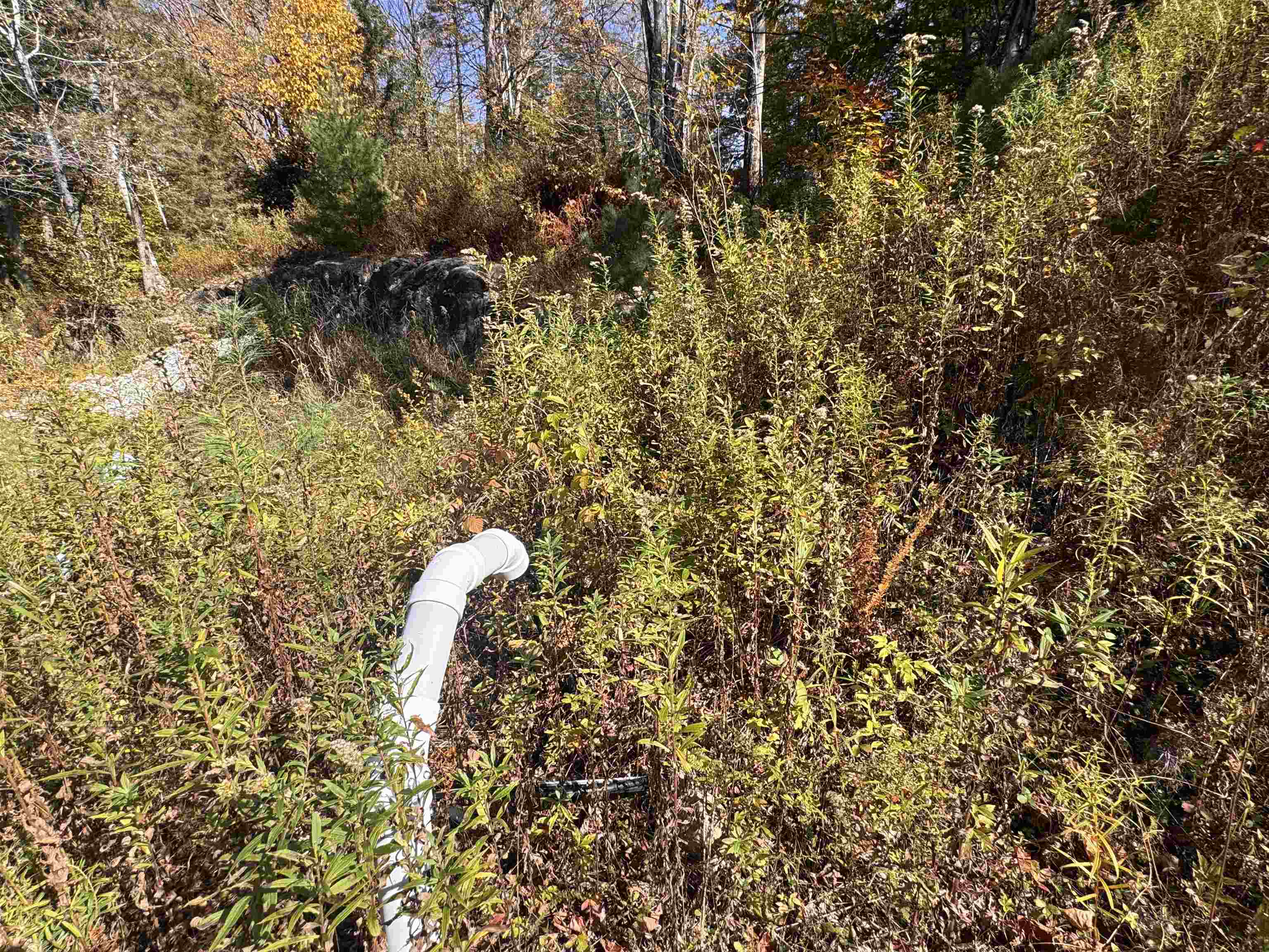 634 Lincoln Road Ripton, VT 05766 - Photo 8 of 20