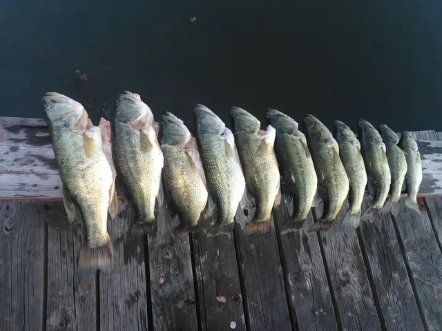 a close view of two chairs