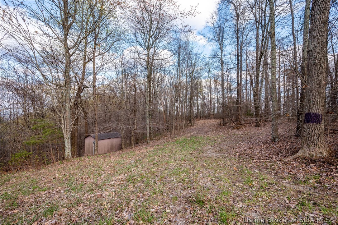 26406 Bartle Knob Road Memphis, TN 47106 - Photo 1 of 26