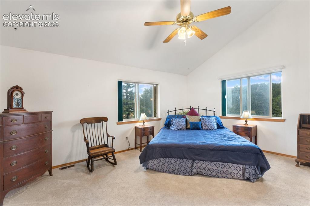 996 Spring Valley Drive Divide, CO 80814 - Photo 28 of 47 Primary