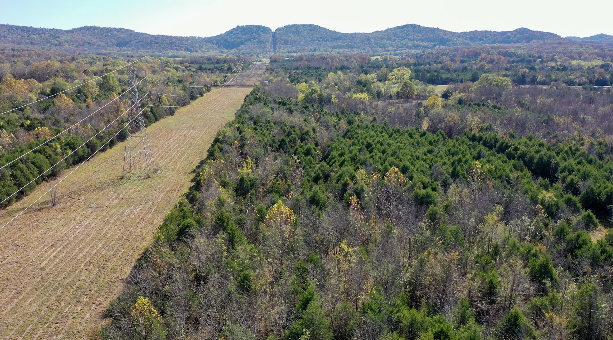 5485 Broiles Road Christiana, TN 37037 - Photo 2 of 6 Gallery Image 2