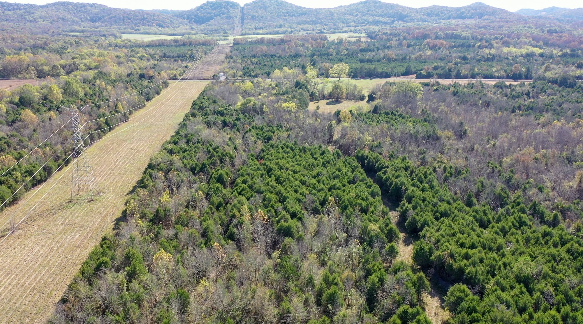 5485 Broiles Road Christiana, TN 37037 - Photo 6 of 6 Gallery Image 6