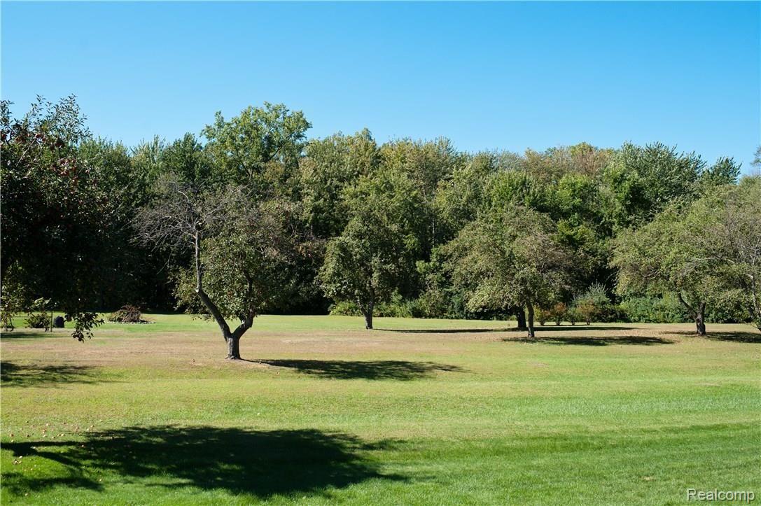 49223 Monte Road New Baltimore, MI 48047 - Photo 16 of 16 Backyard Views!