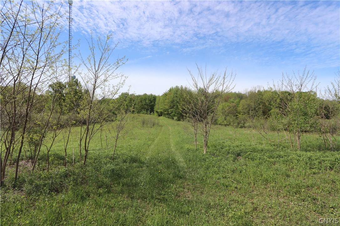 175 Bremm Road Boylston, NY 13083 - Photo 1 of 30