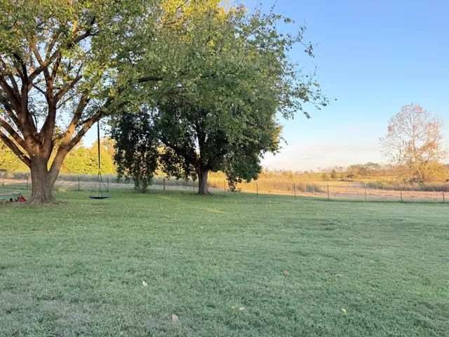 a view of yard with green space