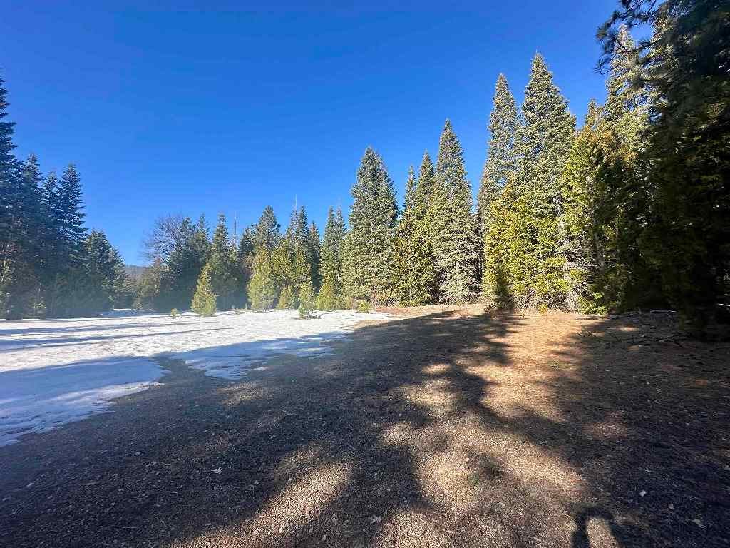 3 Deetz Road Rd Mount Mount Shasta, CA 96067 - Photo 10 of 37 Gallery Image 10