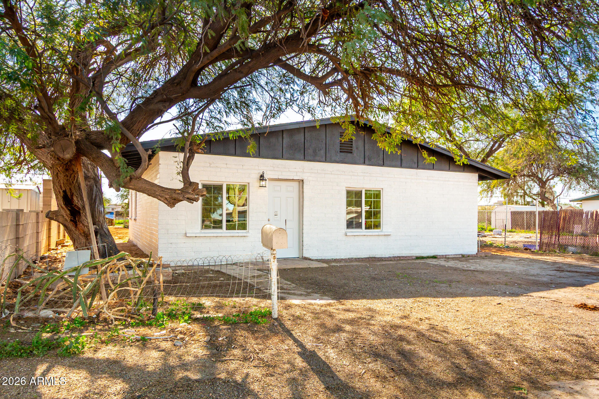 a view of a yard with a large tree