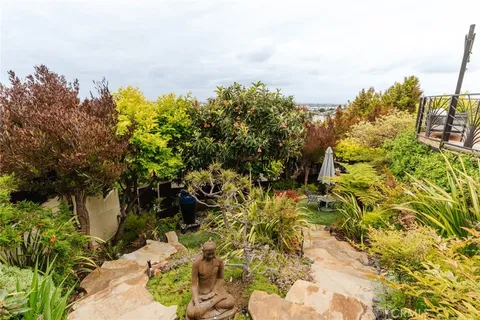 a view of a garden with plants and large trees