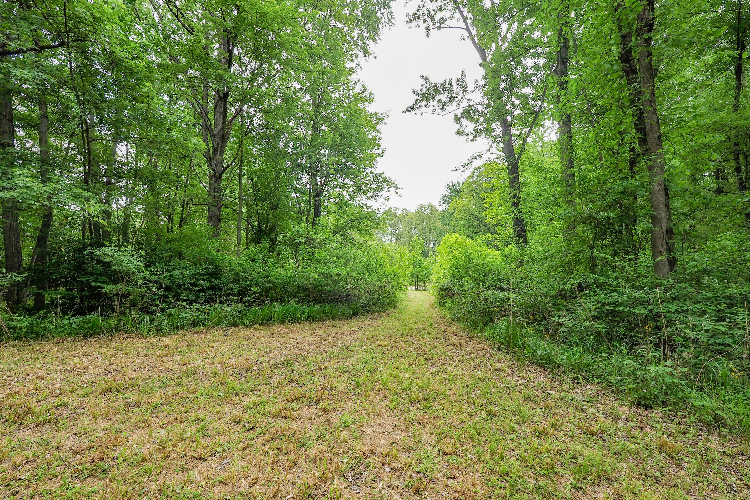 9653 Bellevue Road Battle Creek, MI 49014 - Photo 42 of 55 9653 Belleview-110