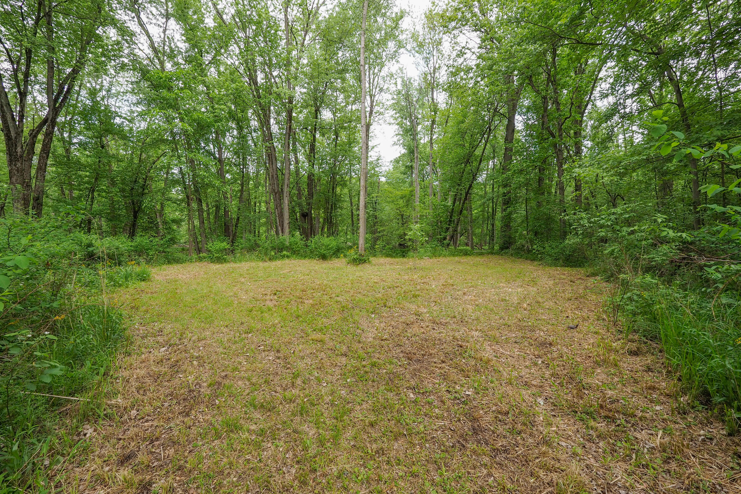 9653 Bellevue Road Battle Creek, MI 49014 - Photo 43 of 55 9653 Belleview-111