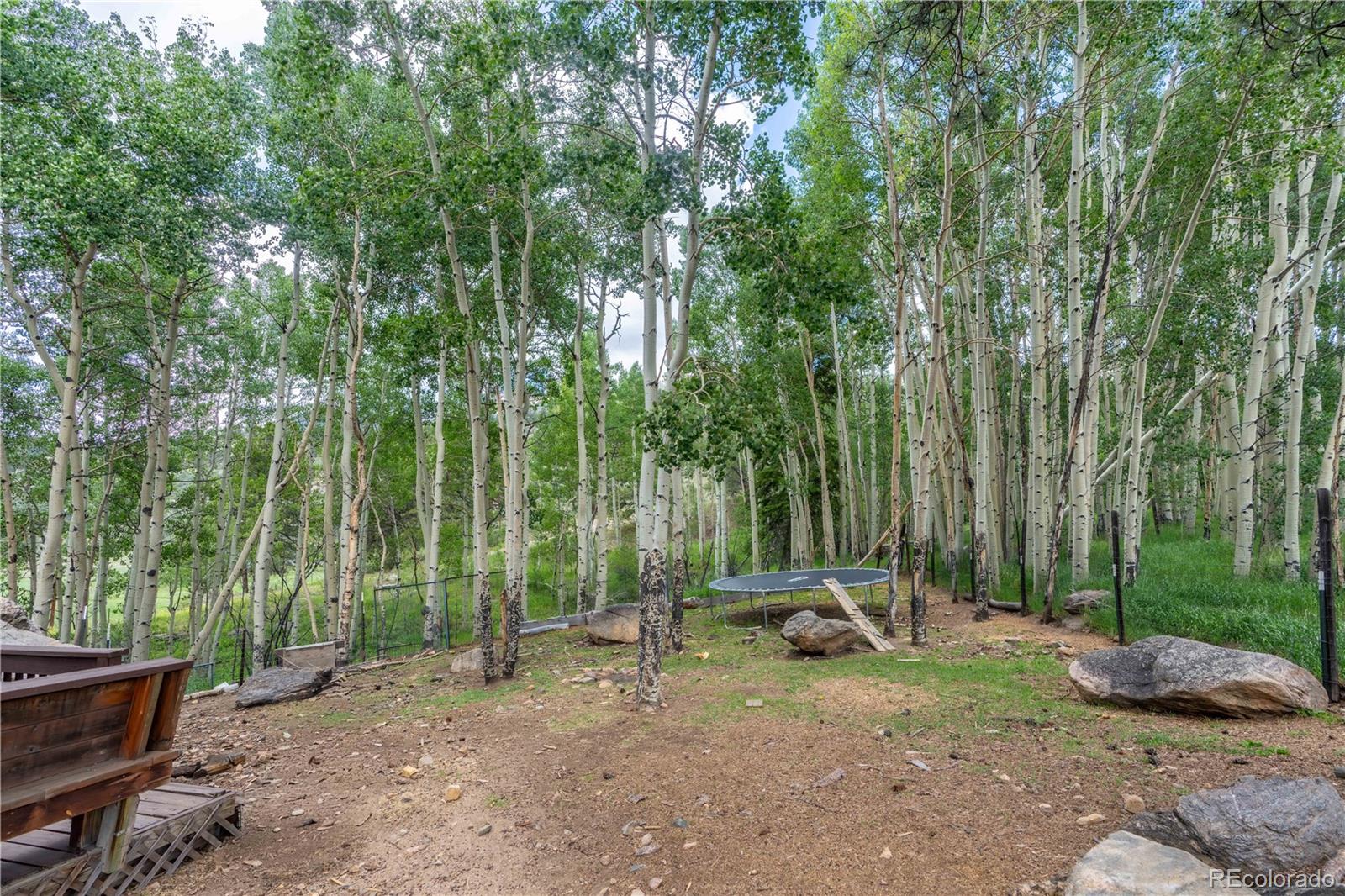 109 Heide Road Shawnee, CO 80475 - Photo 4 of 34
