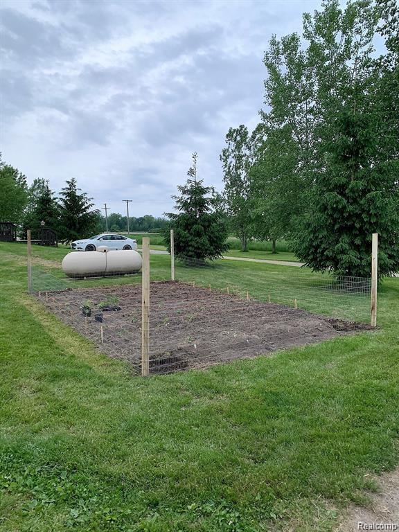16126 Burt Road Capac, MI 48014 - Photo 27 of 38