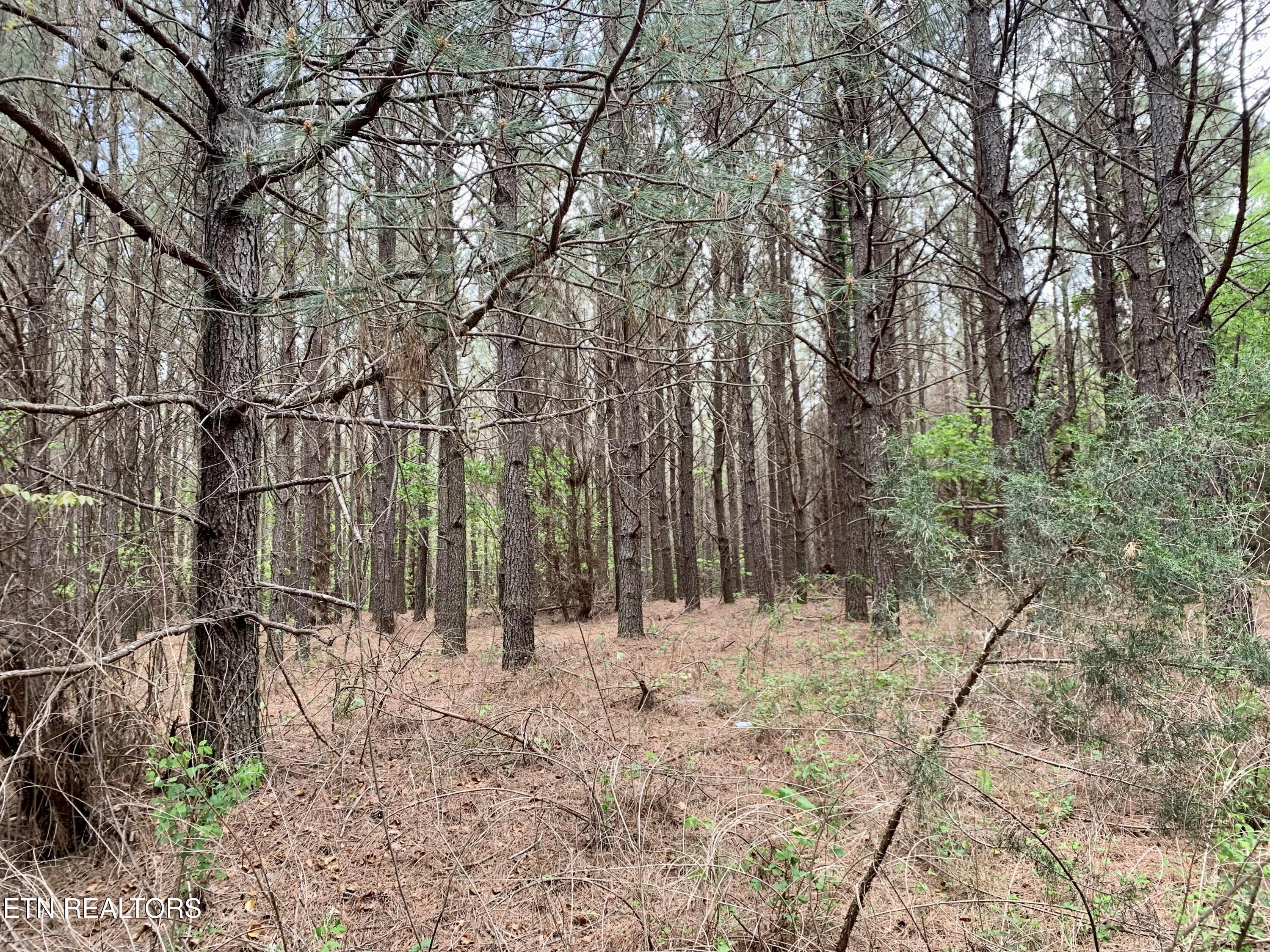 Retro Hughes Road Graysville, TN 37338 - Photo 12 of 17 IMG_6769