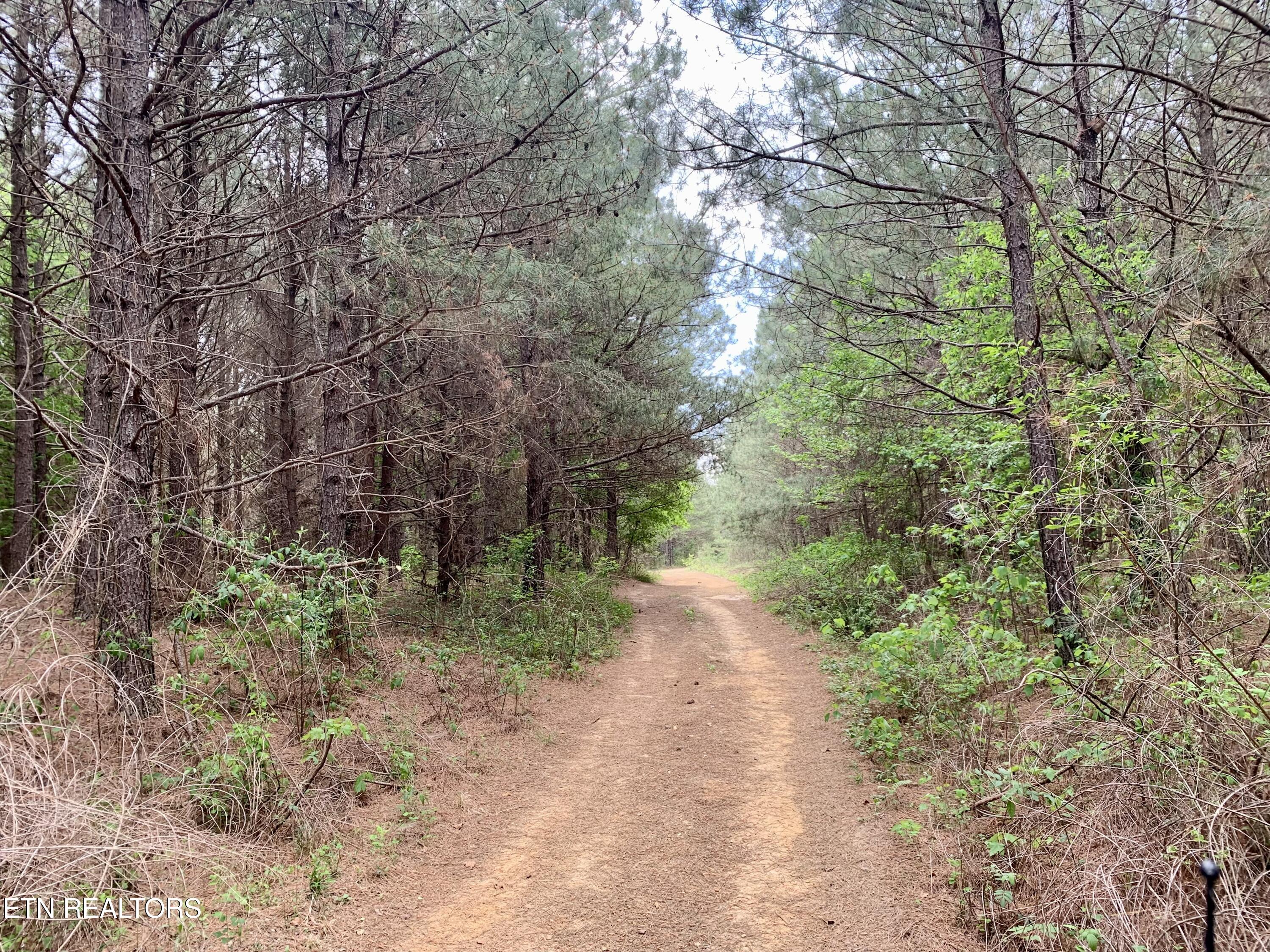 Retro Hughes Road Graysville, TN 37338 - Photo 13 of 17 IMG_6770