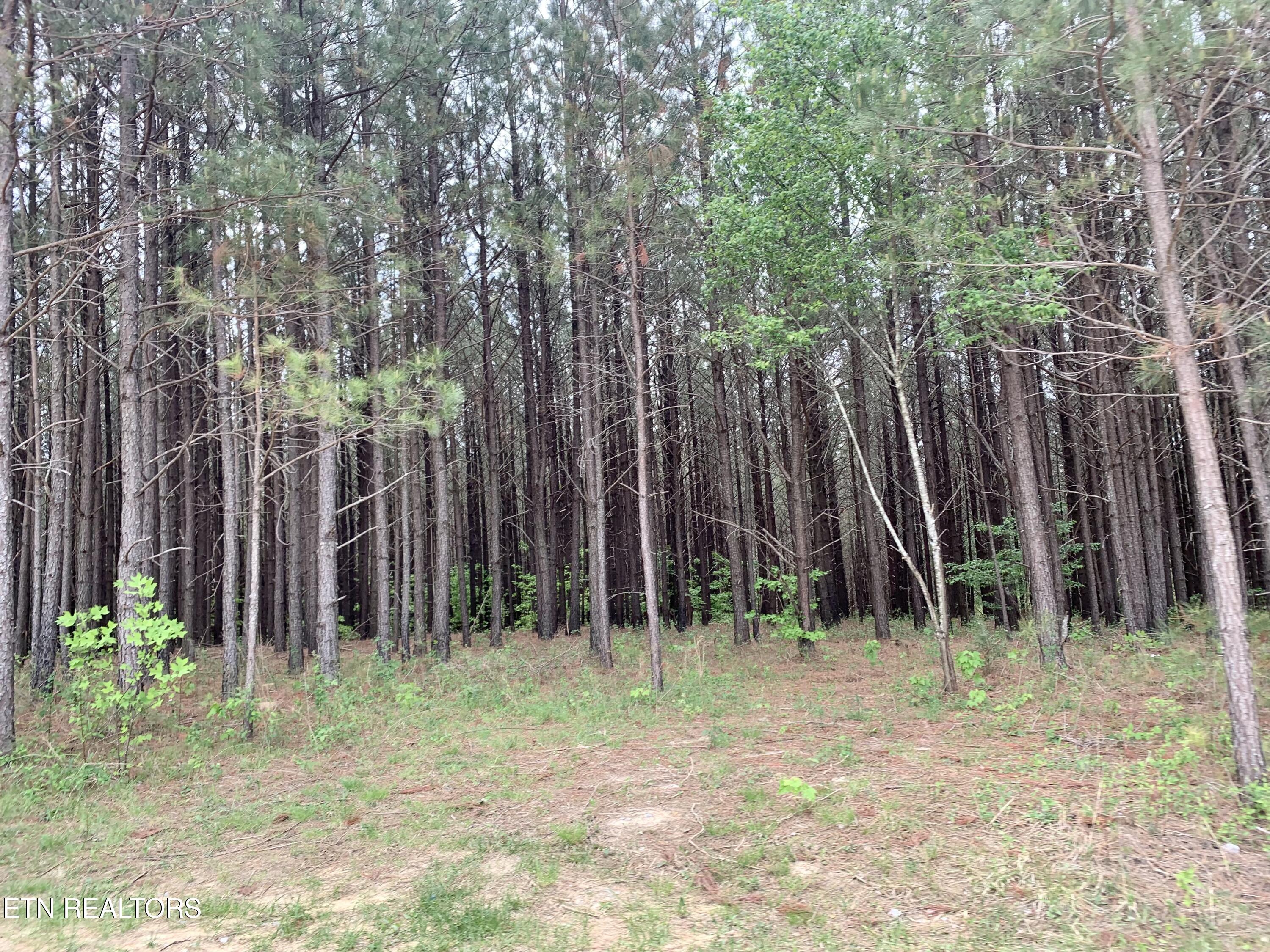 Retro Hughes Road Graysville, TN 37338 - Photo 15 of 17 IMG_6772