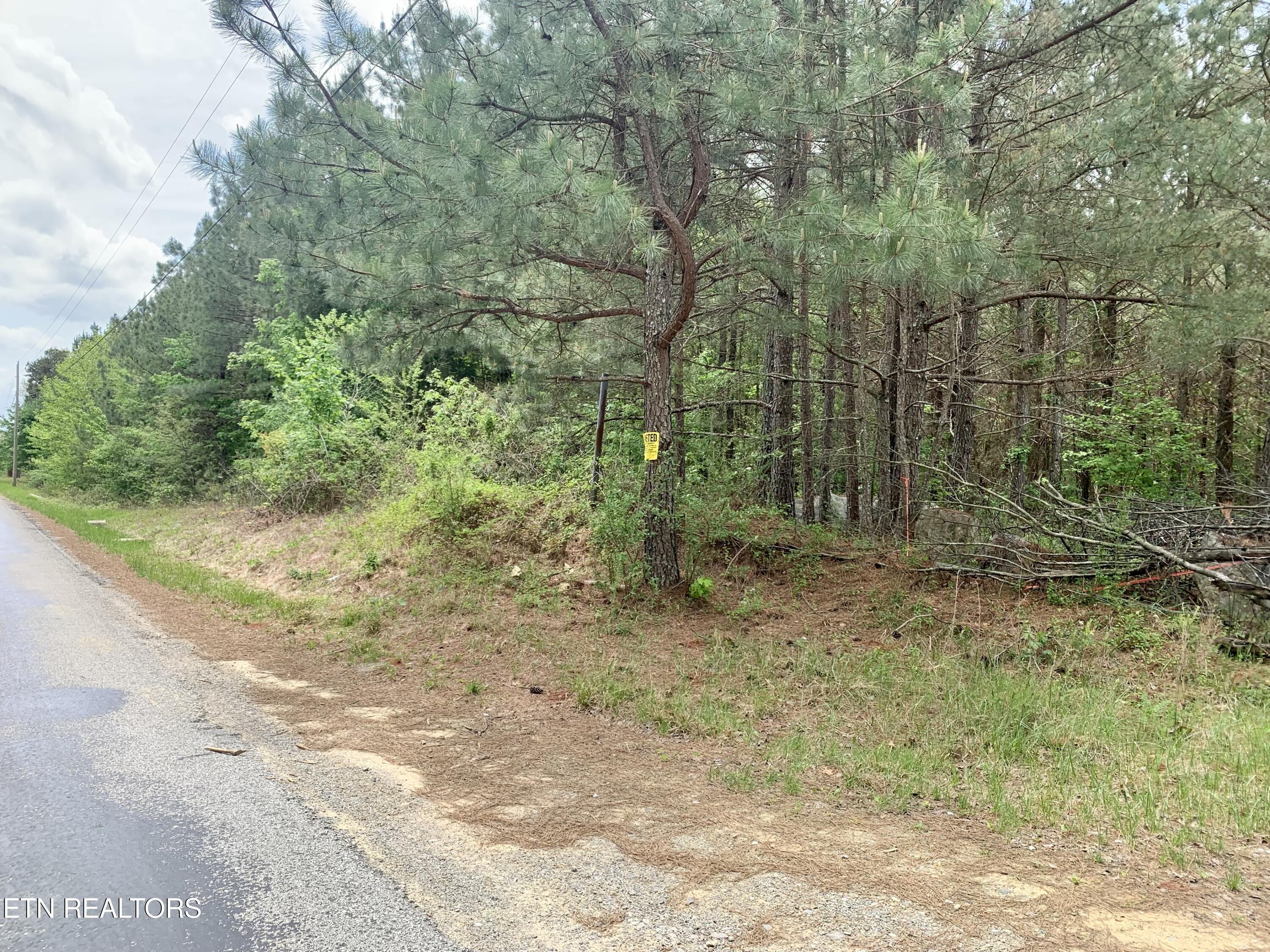 Retro Hughes Road Graysville, TN 37338 - Photo 16 of 17 IMG_6773