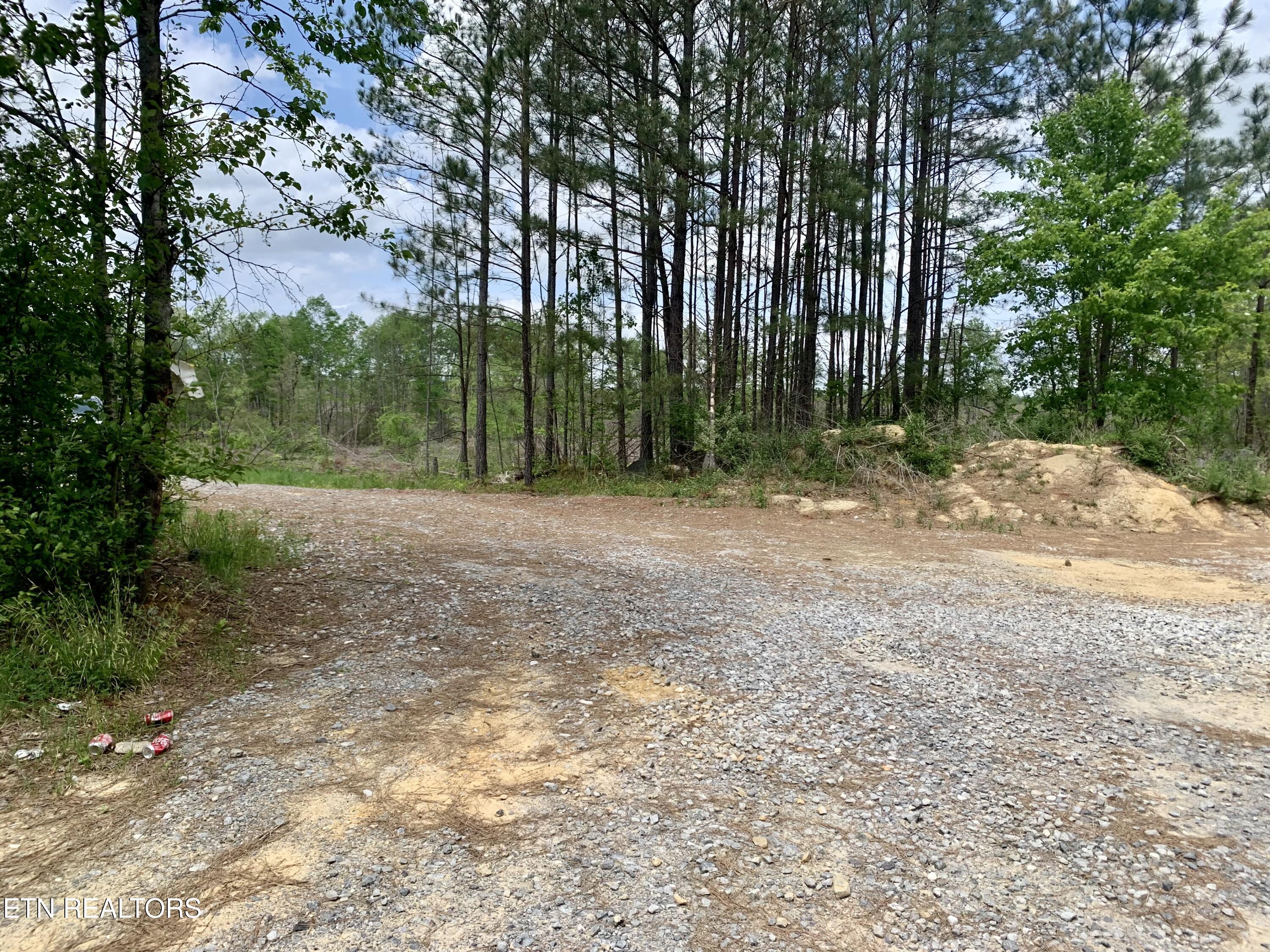 Retro Hughes Road Graysville, TN 37338 - Photo 17 of 17 IMG_6774