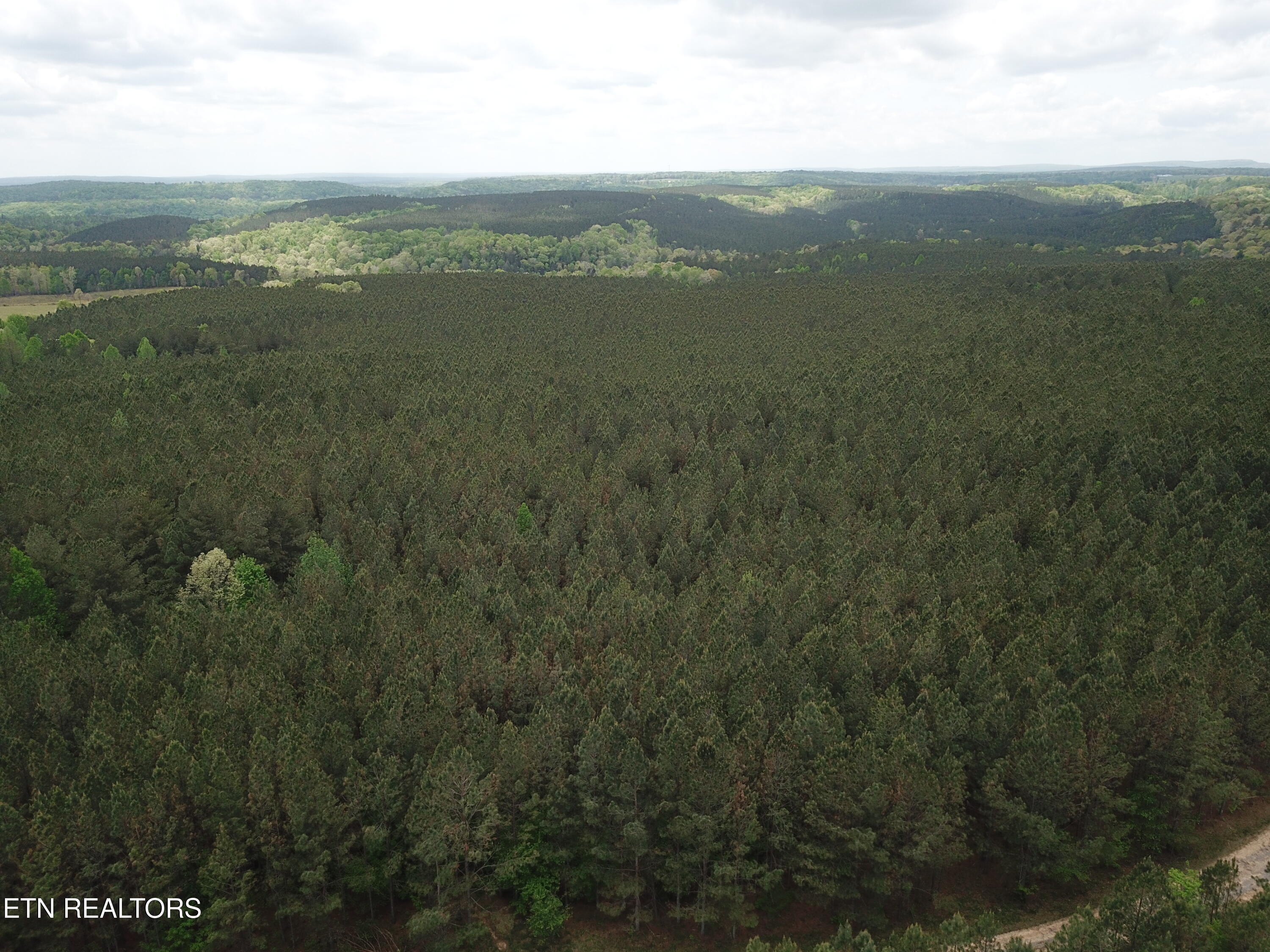 Retro Hughes Road Graysville, TN 37338 - Photo 5 of 17 DJI_0188