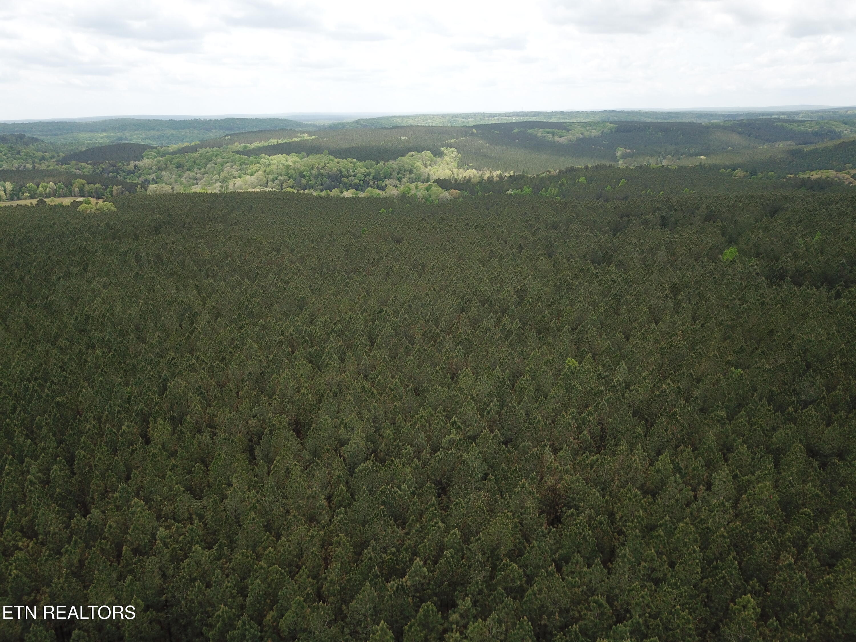 Retro Hughes Road Graysville, TN 37338 - Photo 7 of 17 DJI_0193