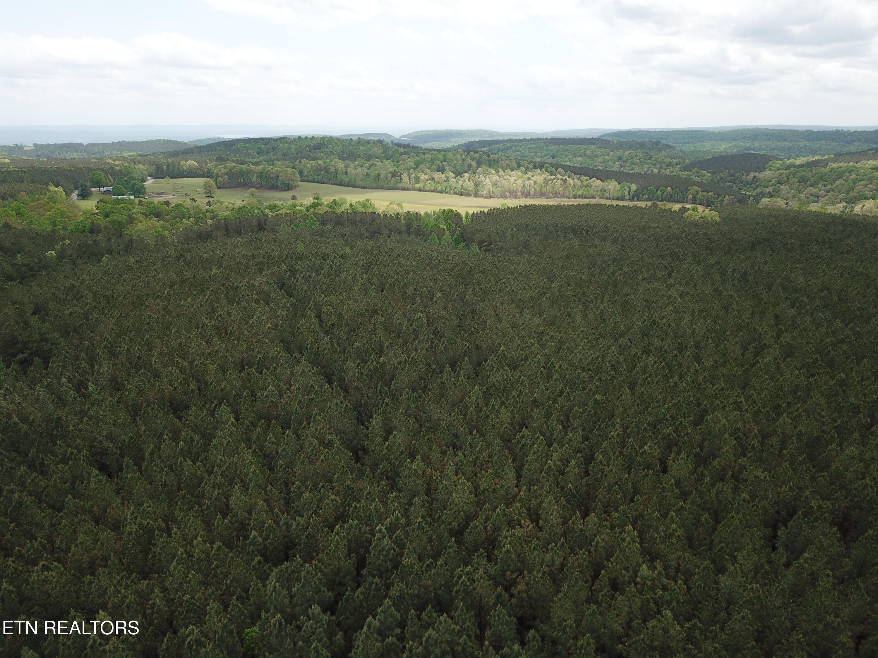 Retro Hughes Road Graysville, TN 37338 - Photo 8 of 17 DJI_0194