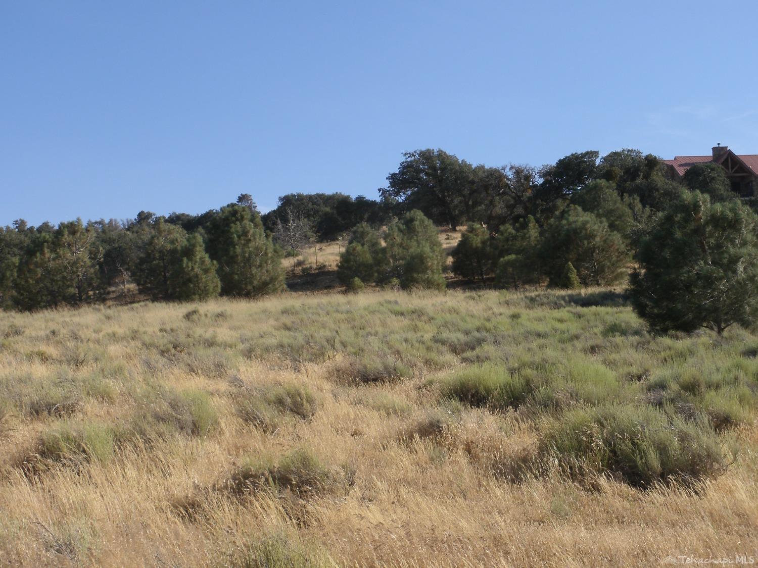 0 Tamblin Road Tehachapi, CA 93561 - Photo 5 of 7 Gallery Image 5