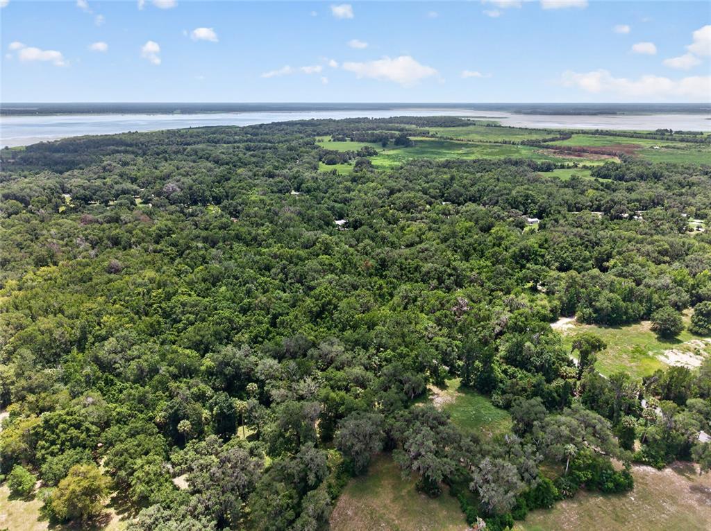5725 Northwest 219th Street Road Micanopy, FL 32667 - Photo 16 of 17