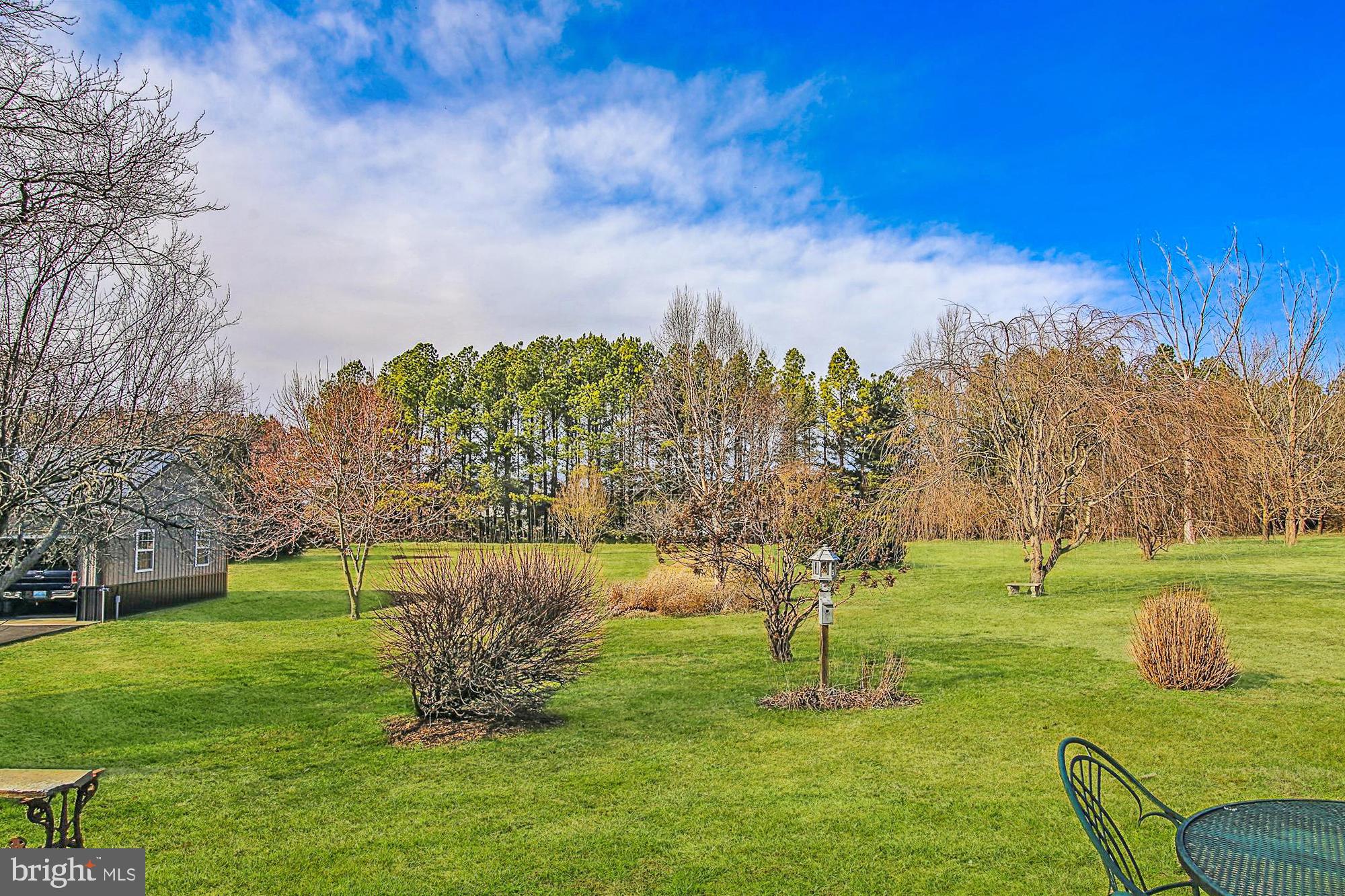 11963 Homestead View Road Worton, MD 21678 - Photo 44 of 48 View of Tree Line from Deck