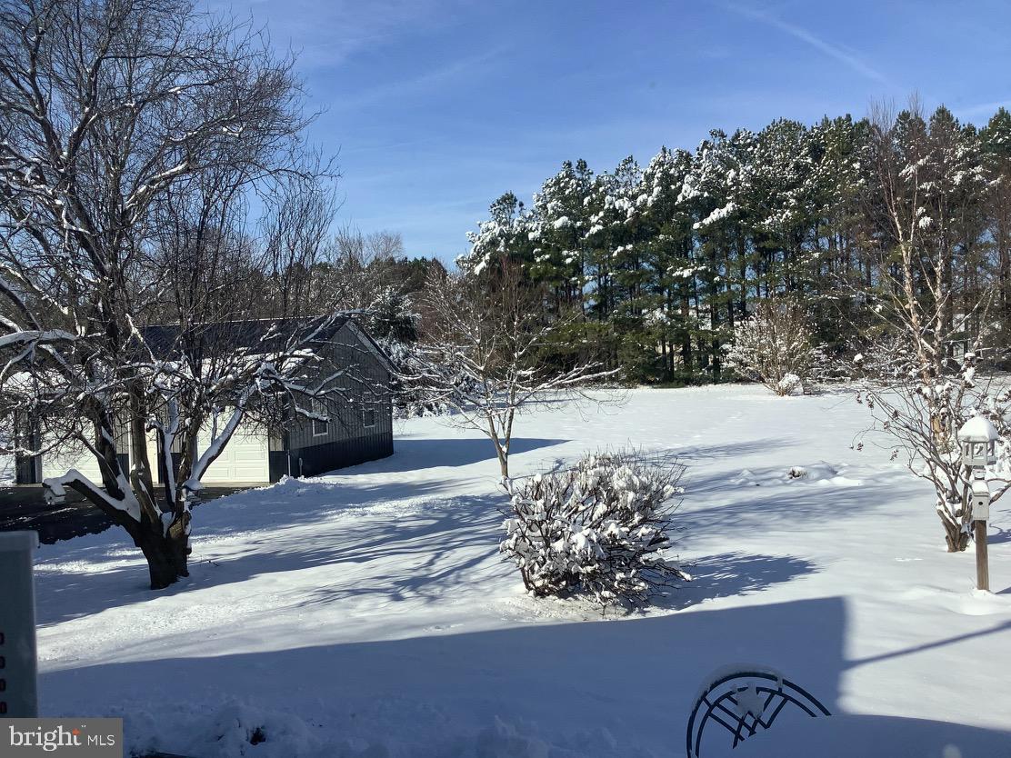 11963 Homestead View Road Worton, MD 21678 - Photo 47 of 48 Winter Backyard