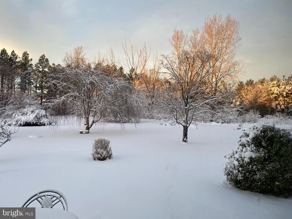 11963 Homestead View Road Worton, MD 21678 - Photo 48 of 48 Winter Backyard
