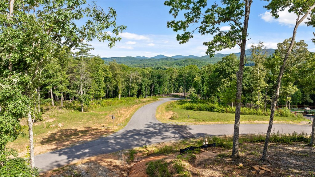 Lot 85 Split Creek Road Morganton, GA 30560 - Photo 8 of 23