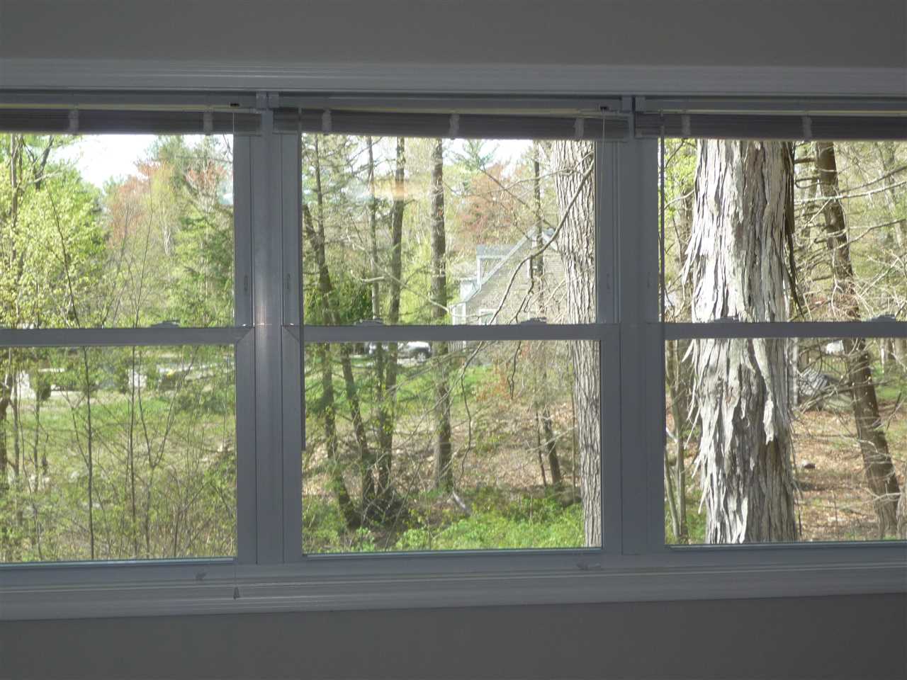 68 Mary Batchelder Road Hampton, NH 03842 - Photo 17 of 38